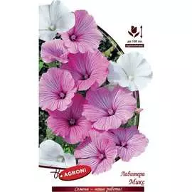 Лаватера семена Агрони