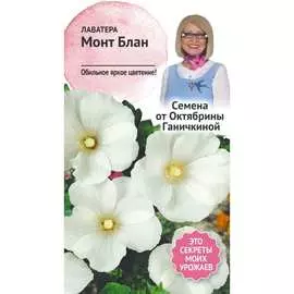 Лаватера семена ОКТЯБРИНА ГАНИЧКИНА Монт Блан 119025