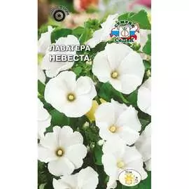 Лаватера семена СеДек