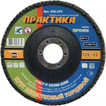Лепесковый торцевой круг ПРАКТИКА 032-379