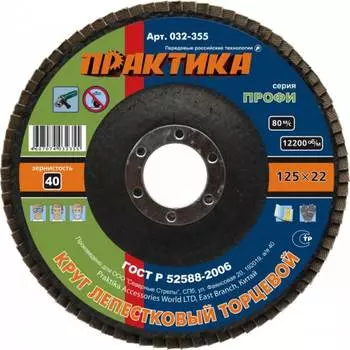 Лепесковый торцевой круг ПРАКТИКА 032-355