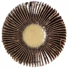 Лепестковый круг ПРАКТИКА 648-991