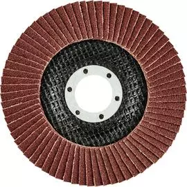 Лепестковый круг шлифовальный GRAPHITE