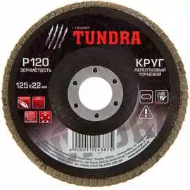 Лепестковый круг торцевой ТУНДРА 1124387