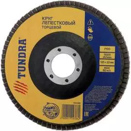 Лепестковый круг торцевой ТУНДРА 1124386