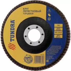 Лепестковый круг торцевой ТУНДРА 1124384
