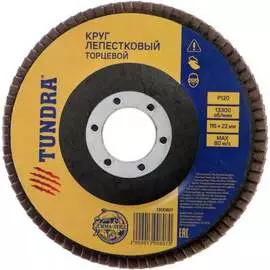 Лепестковый круг торцевой ТУНДРА 1300807