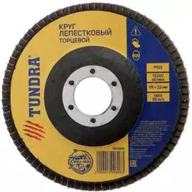 Лепестковый круг торцевой ТУНДРА 1300806