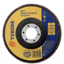 Лепестковый круг торцевой ТУНДРА 1300804