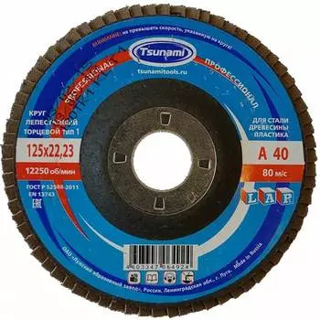 Лепестковый круг Tsunami КЛТ1 PROF D96100000P12581