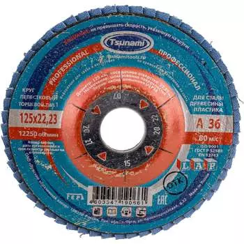 Лепестковый круг Tsunami КЛТ1 PROF D96100000P12536