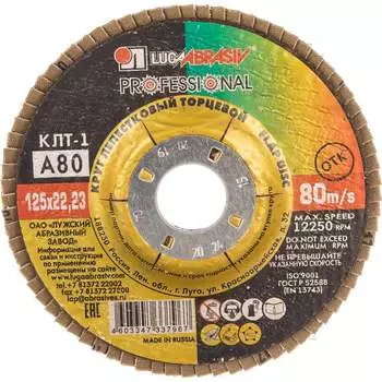 Лепестковый торцевой круг для шлифования Луга