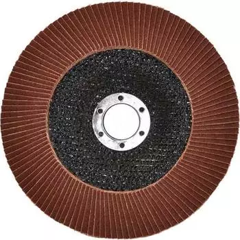 Лепестковый торцевой круг TORGWIN T247990