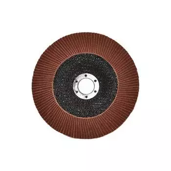 Лепестковый торцевой круг TORGWIN T745936