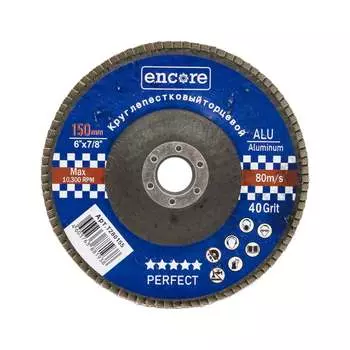 Лепестковый торцевой круг TORGWIN T280155