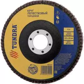 Лепестковый торцевой круг ТУНДРА 4962242