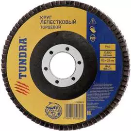 Лепестковый торцевой круг TUNDRA