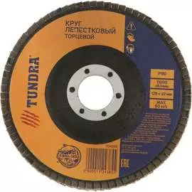 Лепестковый торцевой круг ТУНДРА 1124385