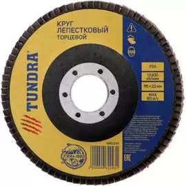 Лепестковый торцевой круг ТУНДРА 4962243
