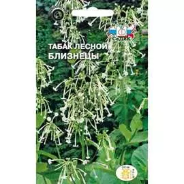 Лесной табак семена СеДек