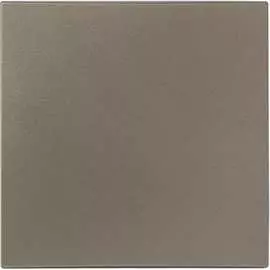 Лицевая панель 1-клавишного проходного выключателя EKF PROxima Валенсия ESV10-L-025-40