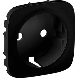 Лицевая панель для розетки Legrand