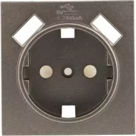 Лицевая панель одноместной розетки EKF PROxima Валенсия ESR16-L-028-60-2USB