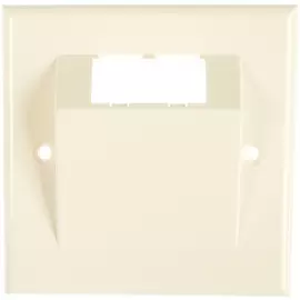 Наклонная лицевая панель для двух модулей Mini-Com PANDUIT