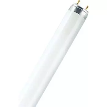 Линейная люминесцентная лампа Osram 4058075692893