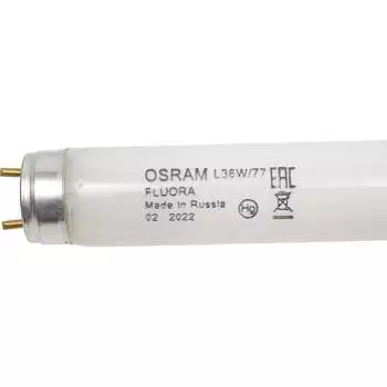 Линейная люминесцентная лампа Osram 4058075402805