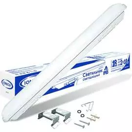 Линейный светодиодный светильник IONICH ДСП600-18-6500-УХЛ2-IP65 1574