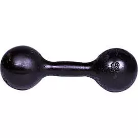 Литая гантель Титан