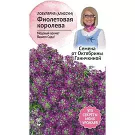 Лобулярия-алиссум семена ОКТЯБРИНА ГАНИЧКИНА Фиолетовая королева 119035