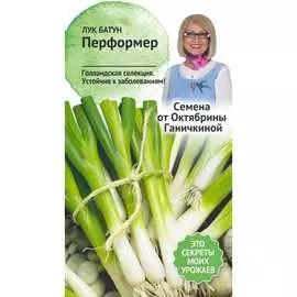 Лук-батун семена ОКТЯБРИНА ГАНИЧКИНА