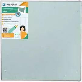 Люк под покраску Promlyuk