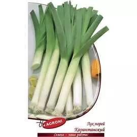 Лук порей семена Агрони