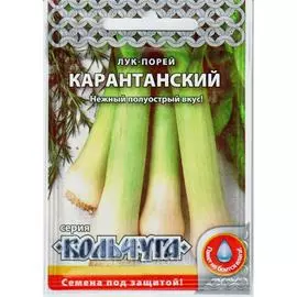 Лук-порей семена РУССКИЙ ОГОРОД