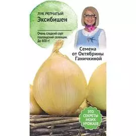 Лук семена ОКТЯБРИНА ГАНИЧКИНА