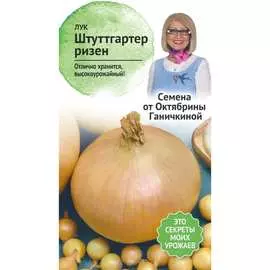 Лук семена ОКТЯБРИНА ГАНИЧКИНА Штуттгартен ризен 119113