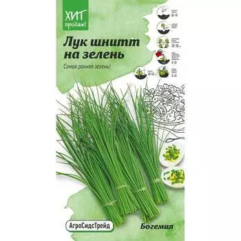 Лук-шнитт семена на зелень Агросидстрейд Богемия АСТ 120968