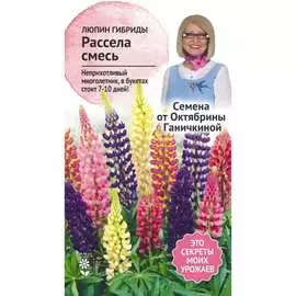 Люпин семена ОКТЯБРИНА ГАНИЧКИНА