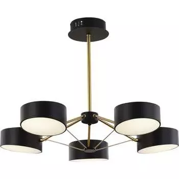 Люстра Evoluce VALLE SLE6005-402-05