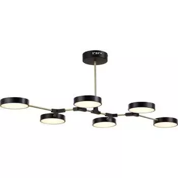 Люстра Evoluce MONTA SLE6004-402-06