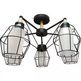 Люстра JUPITER LIGHTING