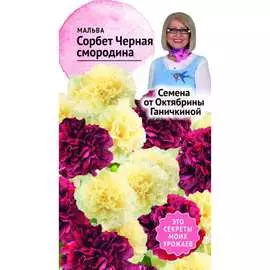 Мальца семена ОКТЯБРИНА ГАНИЧКИНА