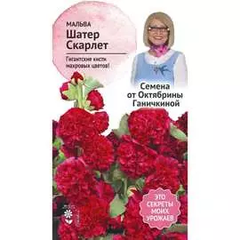 Мальца семена ОКТЯБРИНА ГАНИЧКИНА