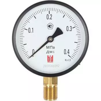 Манометр BD ДМ 1 Т2 100 Р 1151100001