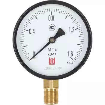 Манометр BD ДМ 1 Т2 100 Р 1151100003