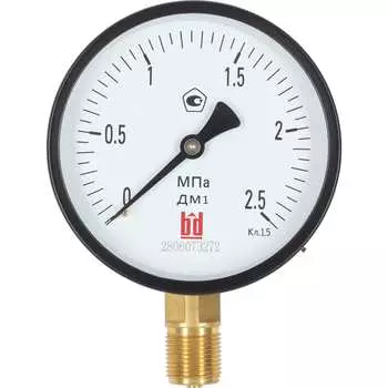 Манометр BD ДМ 1 Т2 100 Р 1151100004