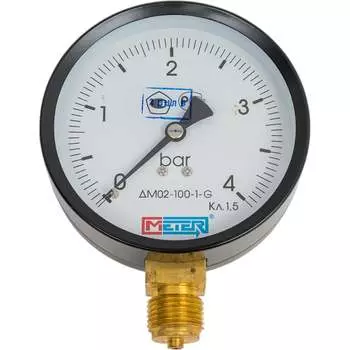 Манометр МЕТЕР ДМ 02-100-1-G 701
